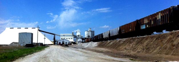 Hutchinson Salt